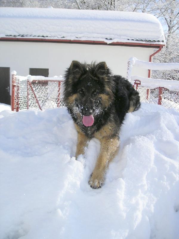 Foto: Bellinka-Zimn� radov�nky