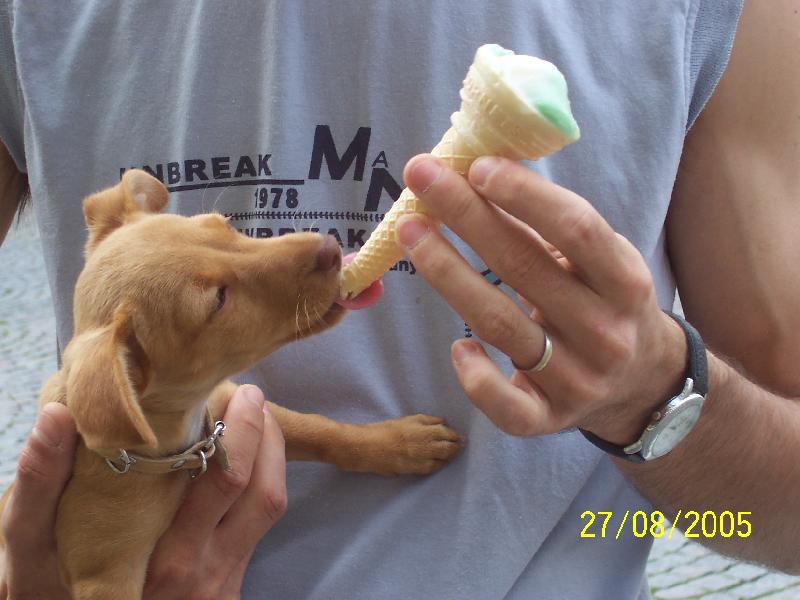 Foto: Zmrzlina, to je moje...