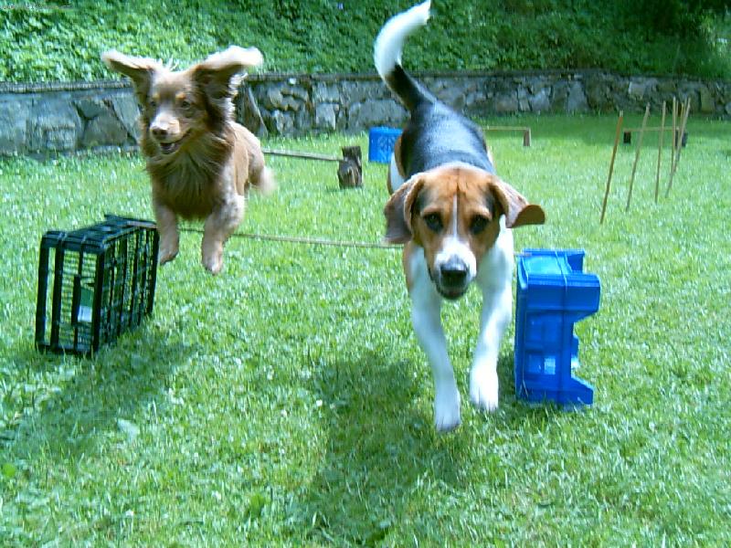 Foto: l�taj�c� k�mo�i