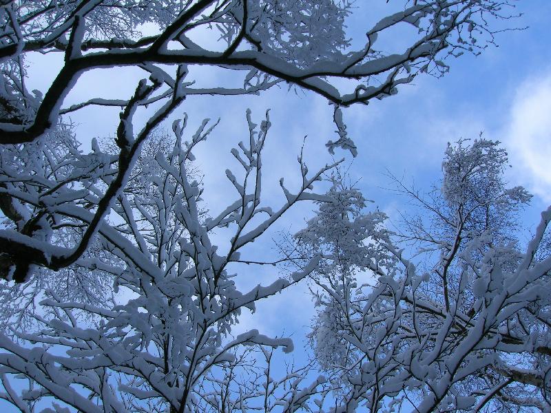 Foto: Jak je zima kr�sn�