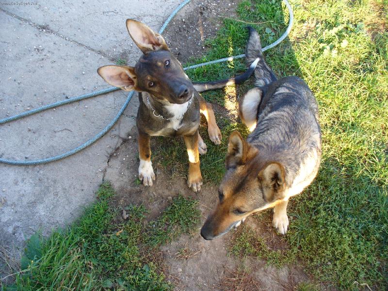 Foto: Co to d�l�?-J� se nesta��m divit