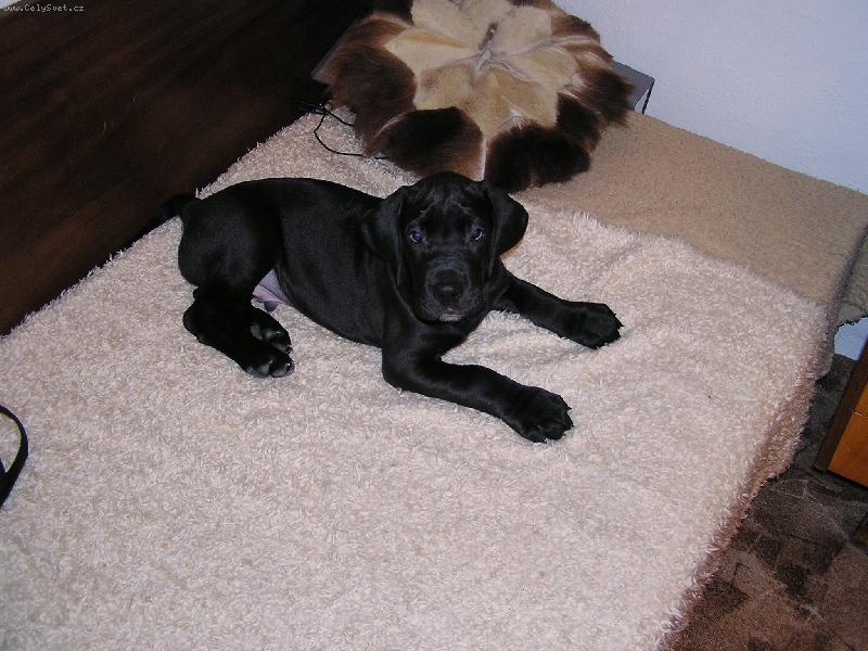 Foto: J� taky budu jednou velkej!-Bonif�c