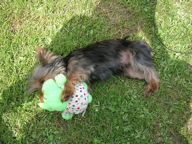 Foto: To je m�j ply��k a nikomu ho ned�m