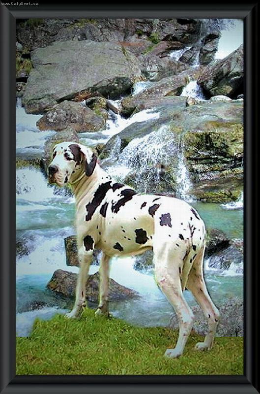 Foto: Alexandra Regia Uttis