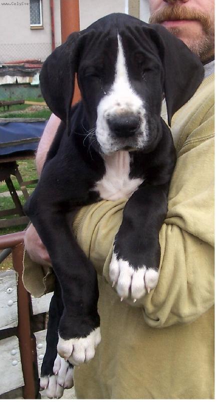 Foto: Claudie-�t���tko 10 t�dn�