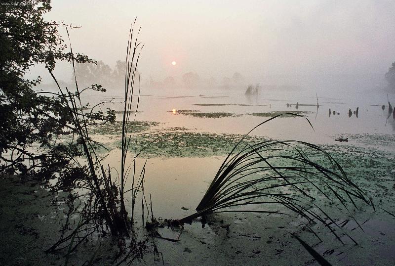 Foto: CHKO Pood��-Mlhav� r�no v p��rodn� rezervaci Kotvice