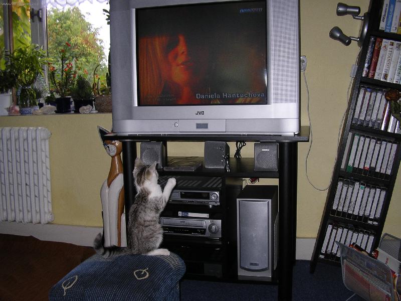 Foto: Telka-J� eurosport je nejlepsi!!! Hej hej hej!!!