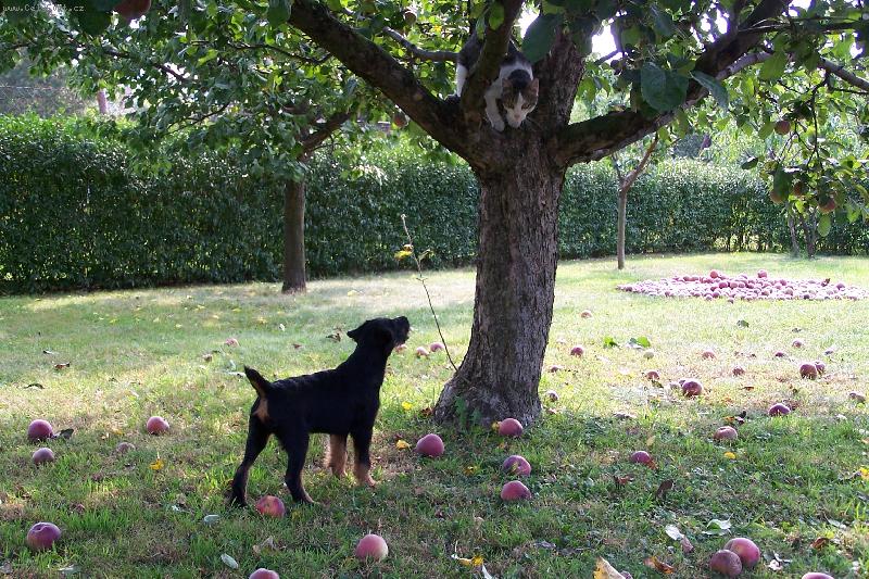 Foto: chy� si m�...