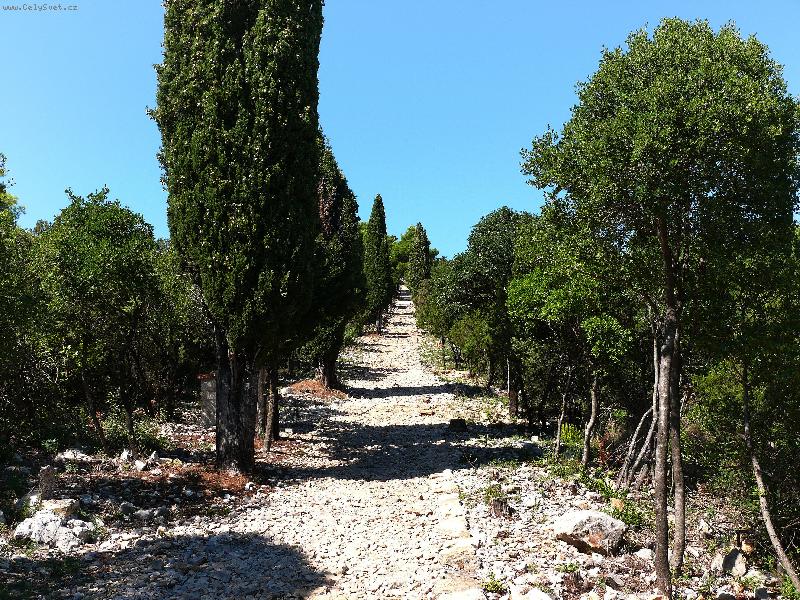 Foto: Stromo�ad�-Chorvatsko