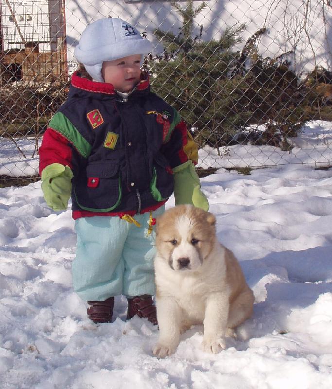 Foto: mlad� kynolog se sv�m psem-2 m�s��n� SAo a 1 rok star� Ka�enka