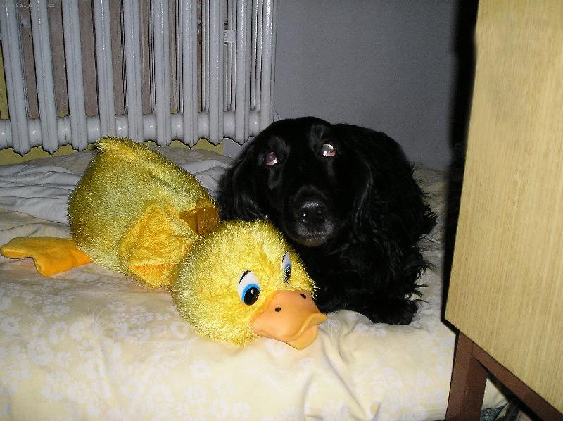 Foto: Nebrat jenom moje