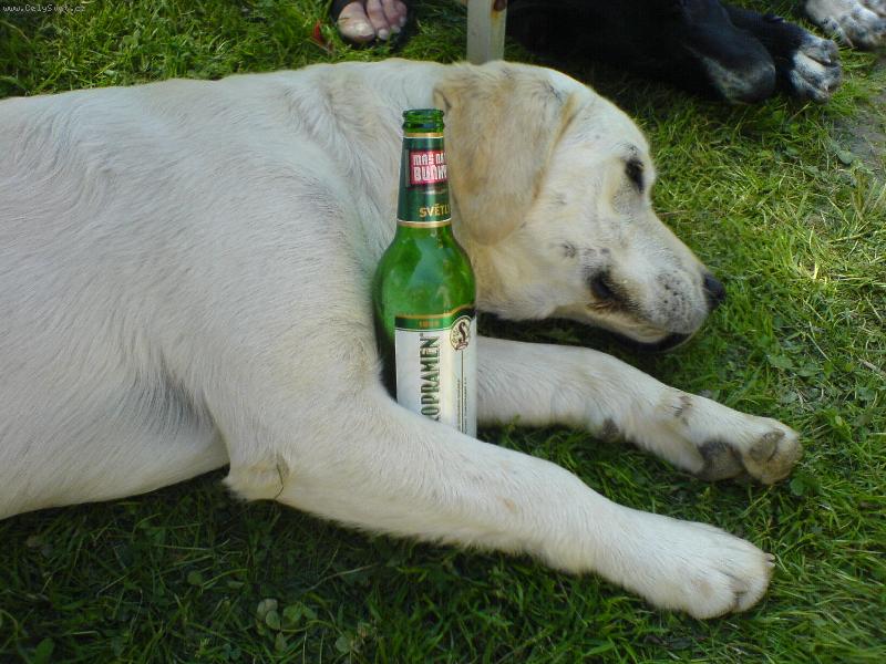 Foto: To byla ��ze�