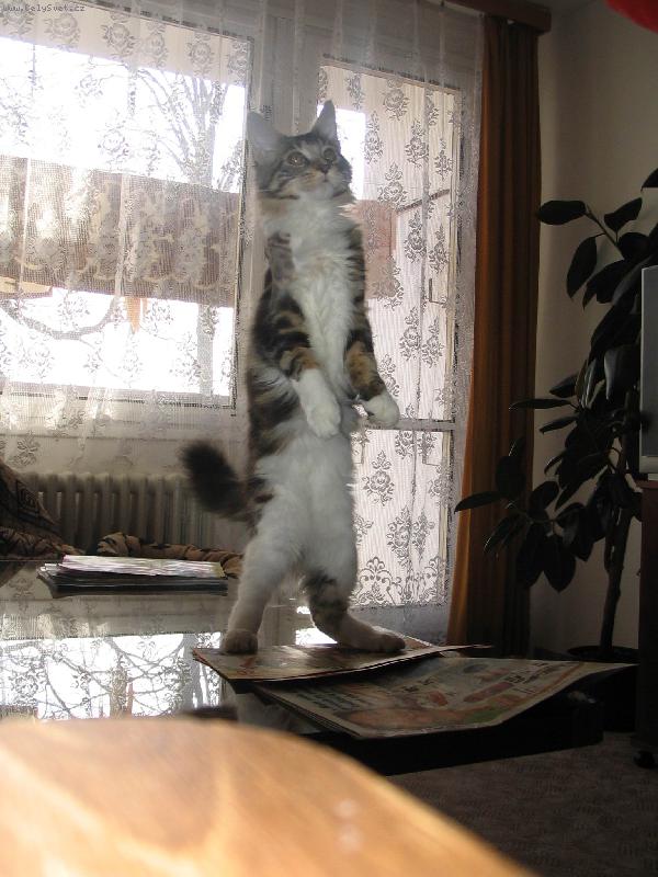 Foto: Maty�-To jsem ale vyrostl.