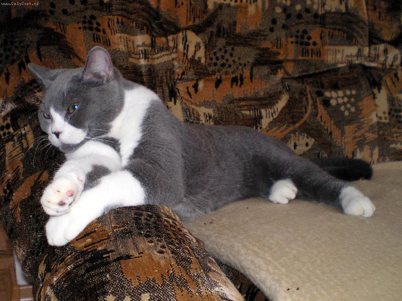 Foto: Siesta-Mat�sek