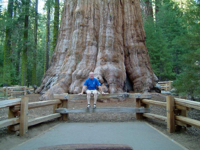 Foto: David a Goli�-Sequoia NP - Kalifornie
