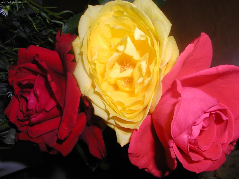 Foto: Kr�sn� a vo�av�