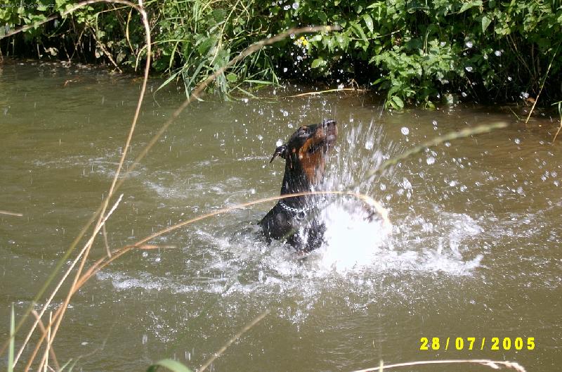 Foto: Nikolka ve vodi�ce-Proboha!!! Ta voda m� snad neunese....