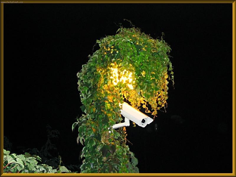 Foto: skryt� kamera v PV-maskovan� pouli�n� lampa.....