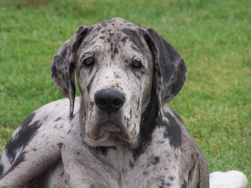 Foto: IGOREK-u� mi je 5 m�s�c�