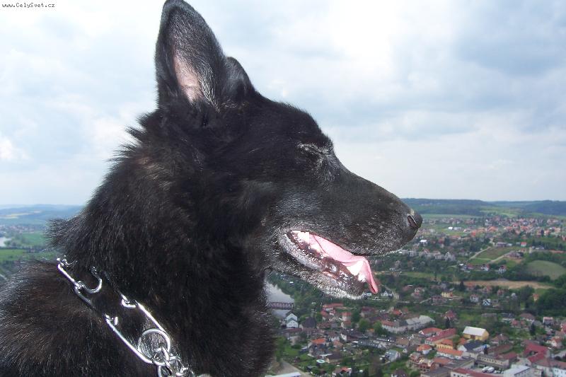 Foto: kr�lovna sv�ta-tak tohle je moje Ag�tka,,hezk� fotka,,,�e???