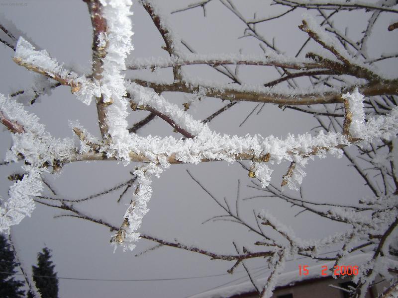 Foto: v�t�vka s drahokamy........