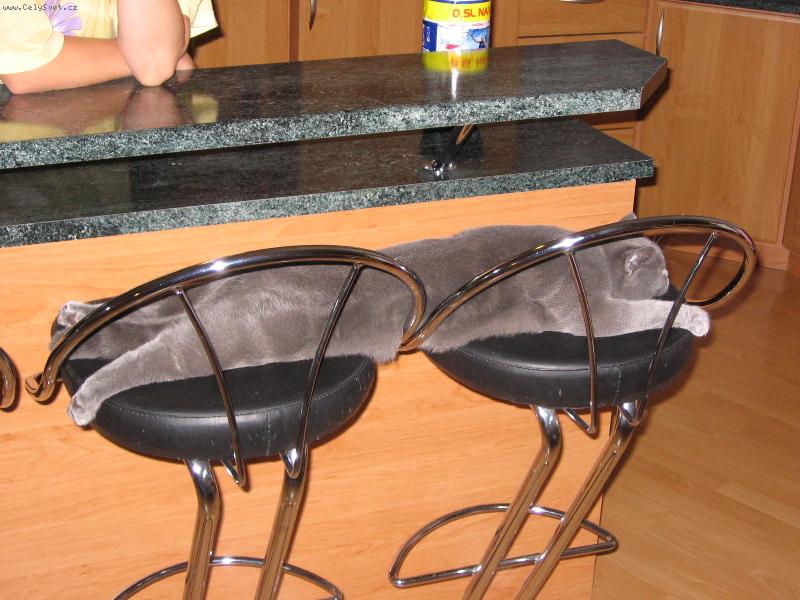 Foto: Bruno-Odpo�inek po ob�d�