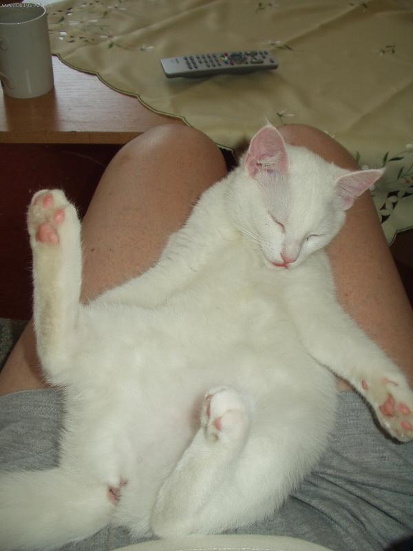 Foto: Lili-zdrav� sp�nek