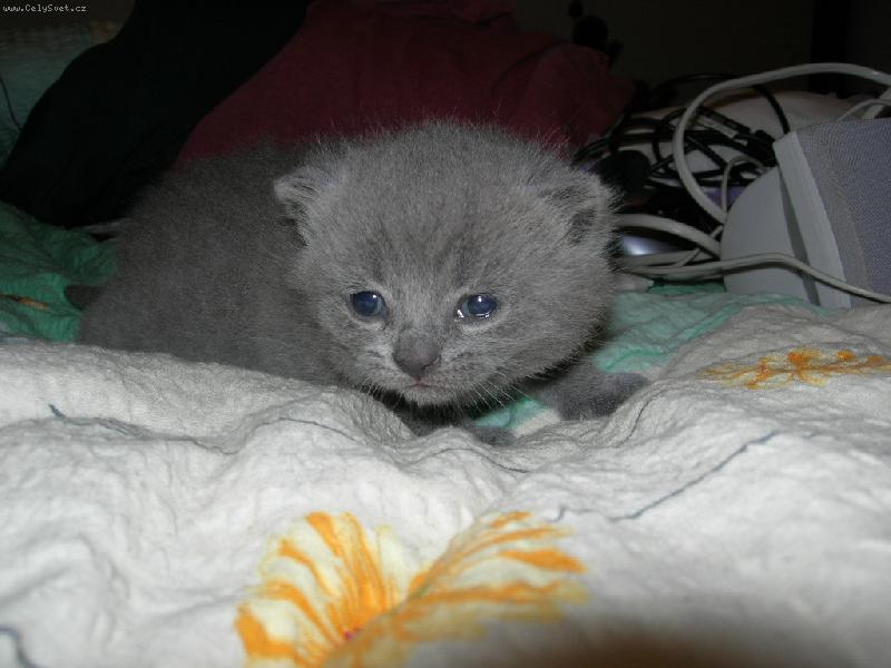 Foto: bojim, bojim-t��t�denn� mazl�k