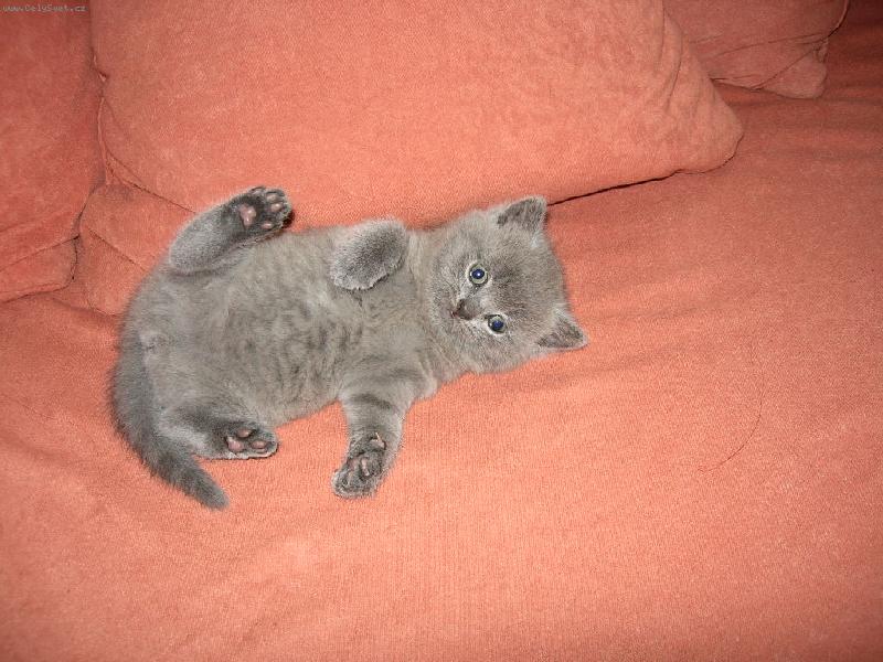 Foto: Co jsem to pila?-Mal� Debbie