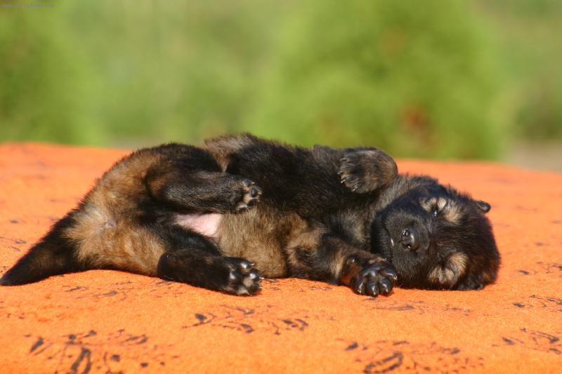 Foto: Neru�it,sp�m!-sp�c� �t�n�