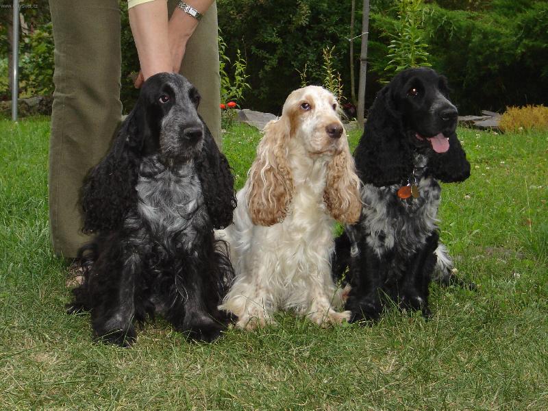 Foto: Cel� na�e kok�� rodina-M�ma, syn a teti�ka