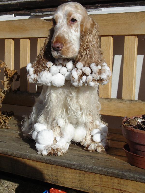 Foto: Byli jsme venku ve sn�hu a nesu si trochu s sebou-Po nasn�en� lepiv�ho sn�hu