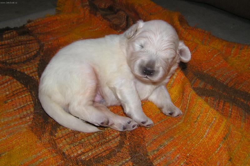 Foto: n�kdo m� volal?