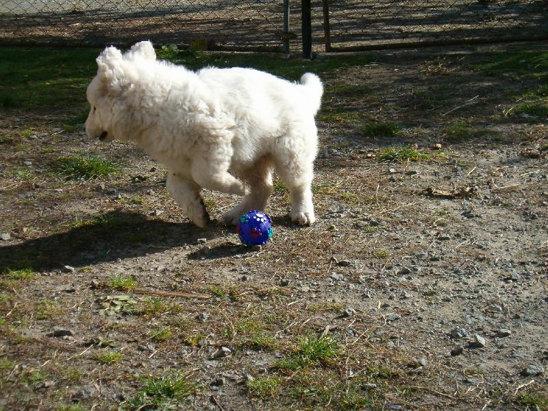 Foto: Chci d�t GOL!!!!