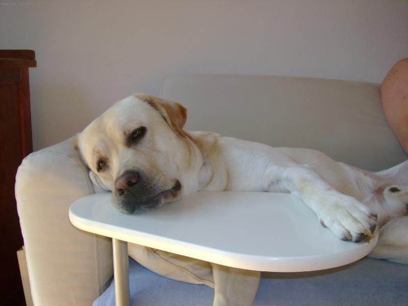 Foto: Charlieho pohodi�ka