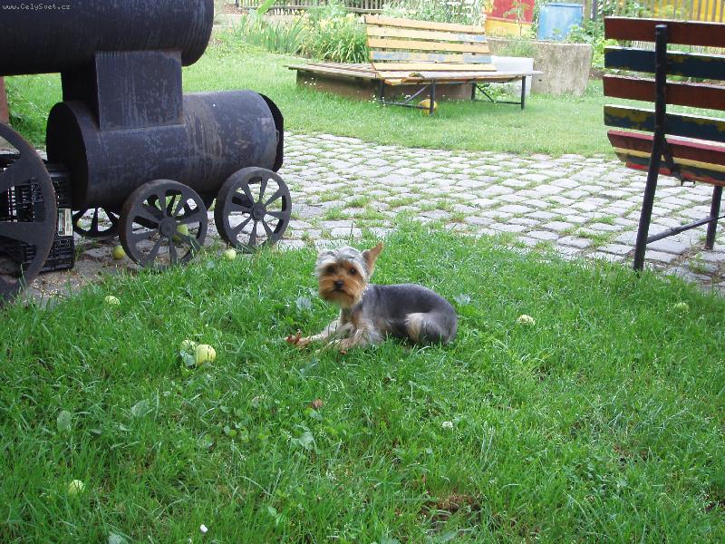 Foto: U ma�inky.-M�m pa��tek.