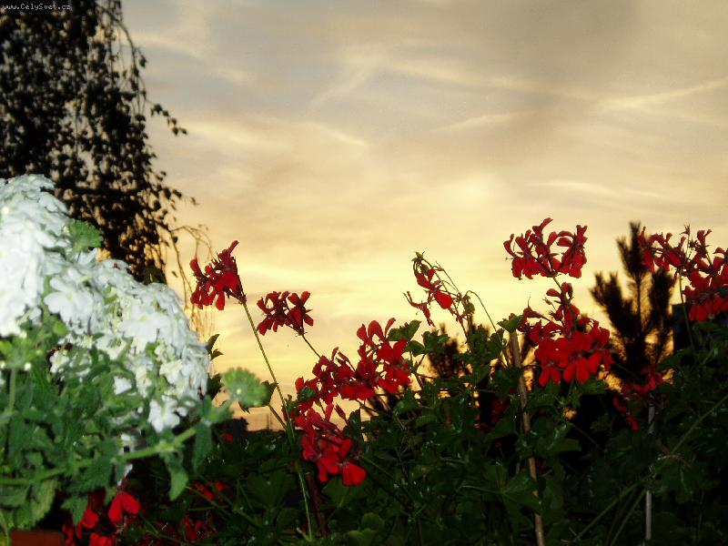 Foto: Z�pad slunce z balkonu