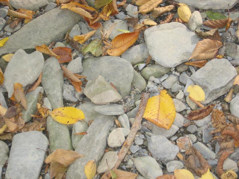 Foto: Na b�ehu Byst�ice