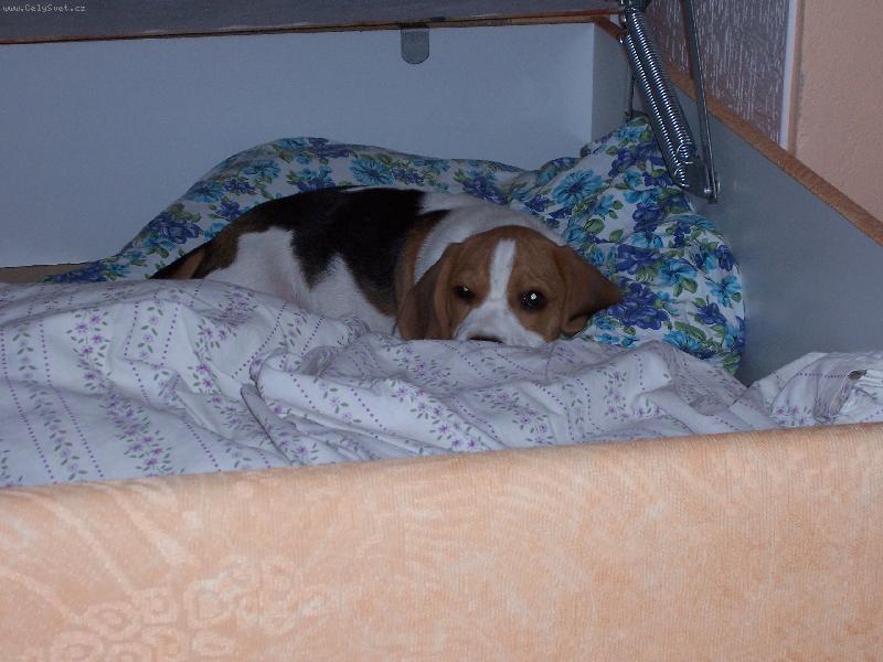 Foto: schovka-ach jo zase m� na�li