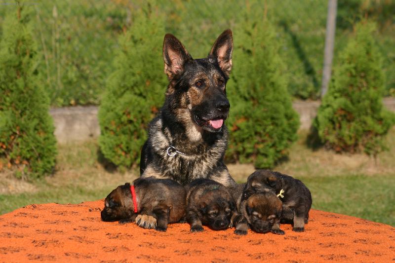 Foto: py�n� m�ma-fena se �t��aty