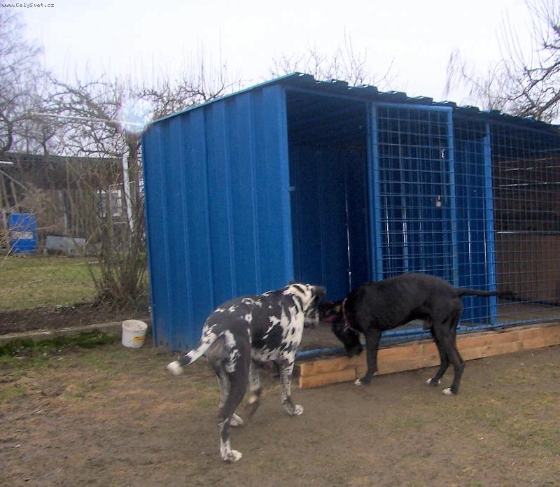 Foto: Vysm�t� BANDOG-Dal mi ten p�n�k n�co do masa?nebo jsem tak ��astn�?!