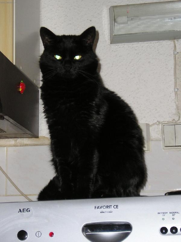 Foto: ...na�e modelka