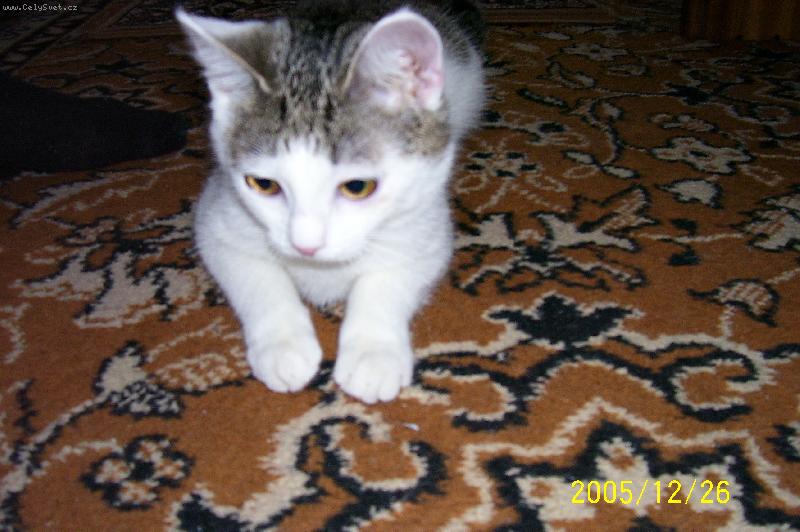 Foto: jako ply�-Betynka