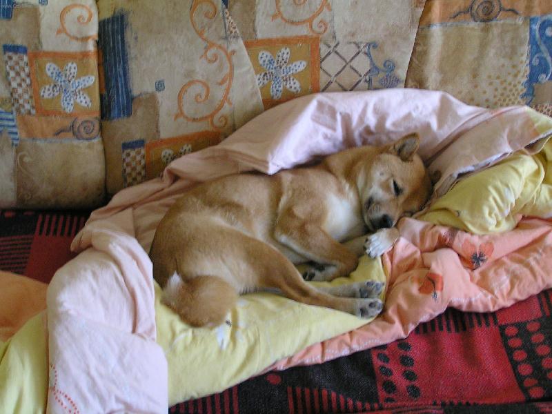 Foto: ...nechte m� sp�t...-Na�e p�tilet� Chinga