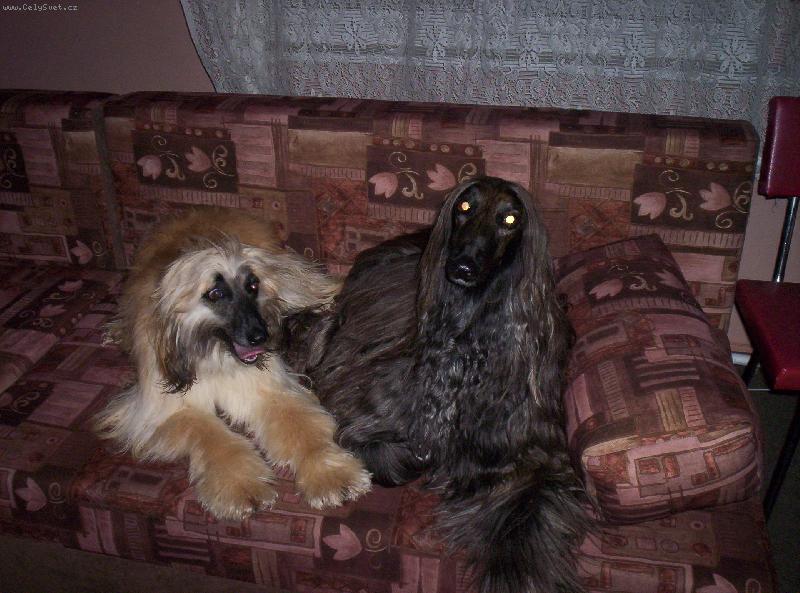 Foto: Cidinka a Cobinka-Co votravuje� s tim fot�kem