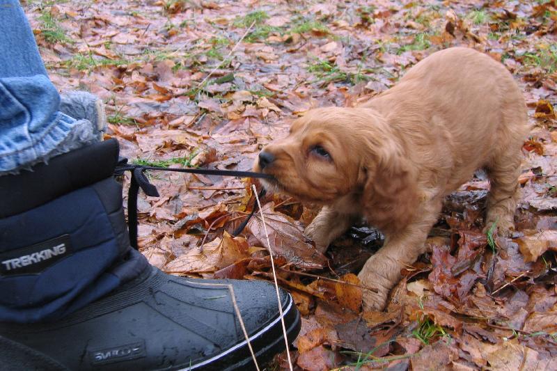 Foto: ... a stejn� t� p�eperu