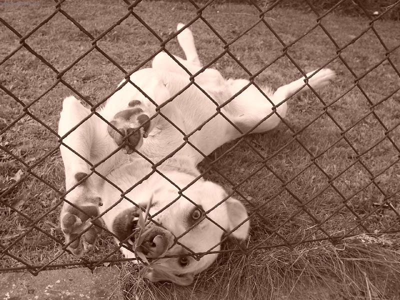 Foto: Hmm m�am-Tine�ka