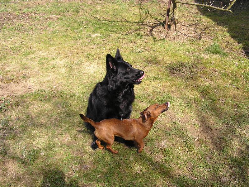 Foto: na�e holky-To byla dobr�tka