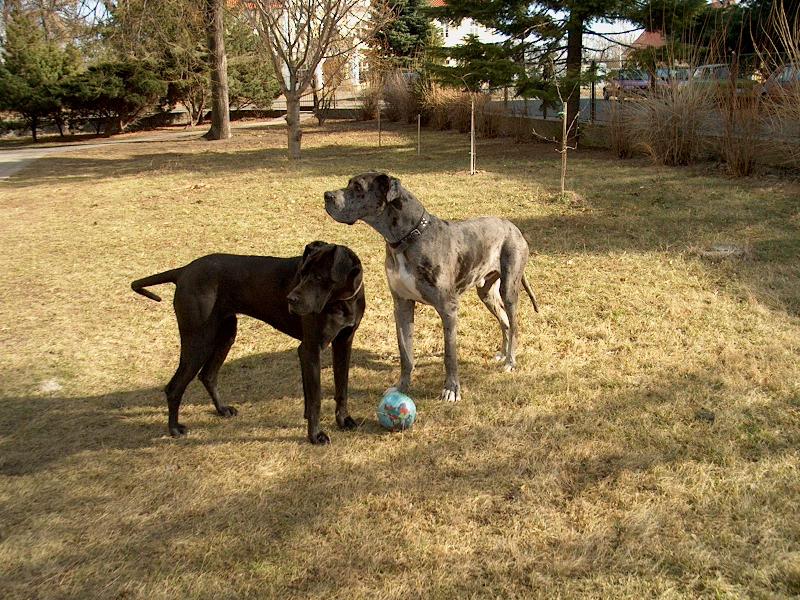 Foto: Nuflo a Betty-n�mluvy