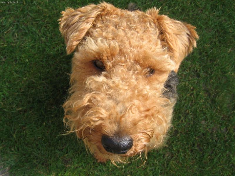 Foto: d�vej se mi do o��!-kuk!!